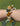 Pulsera Helia