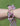Pulsera Rosée