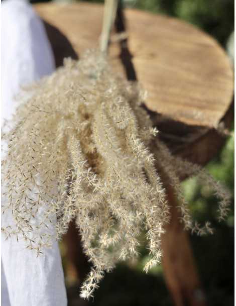 miscanthus-natural