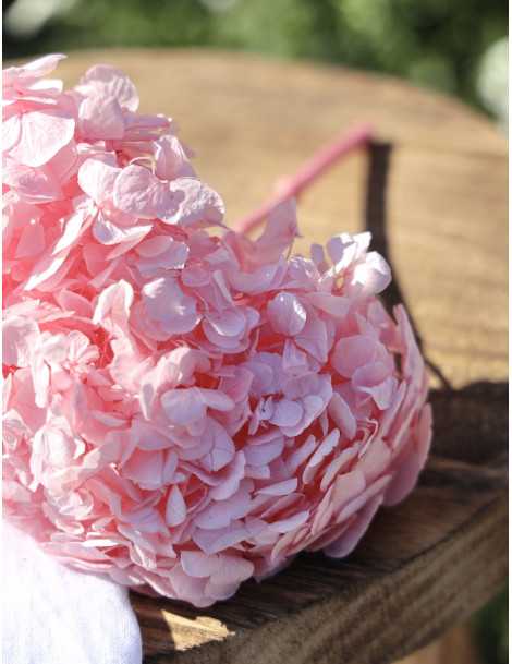 hortensia-rosa