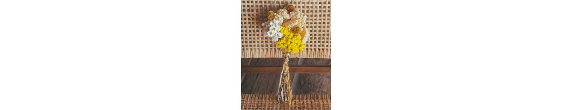 ▷ Ramilletes de flores secas y preservadas | Bahay BCN