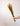 Avena Sativa Ocre