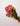 Rosa mini seca rosa