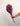 Broom Lila