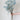 Paniculata Xlence Ani Azul