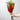 Sant Jordi Premium