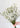 Limonium Blanco