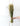Trigo Natural