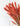 Setaria Coral