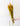 Trigo Ocre