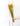 Trigo Ocre