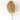 Palma-Washingtonia