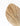 Palma-Washingtonia