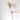 Miscanthus-natural