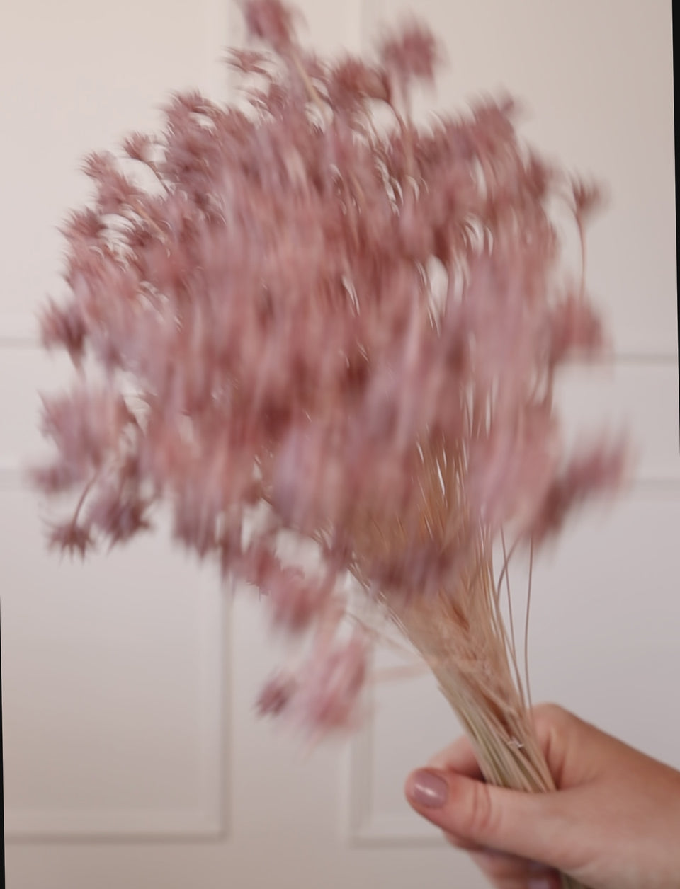 Hill Flower Rosa pastel